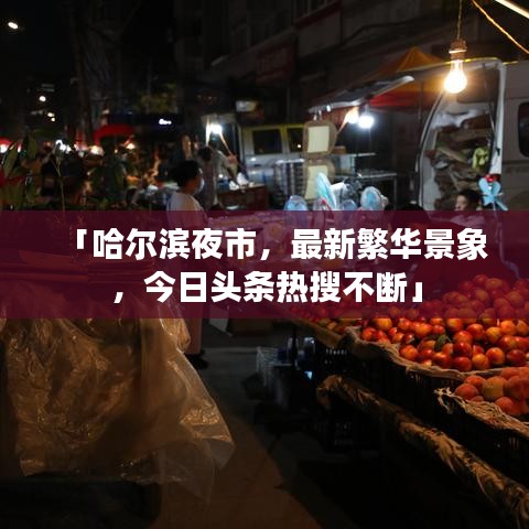 「哈爾濱夜市，最新繁華景象，今日頭條熱搜不斷」