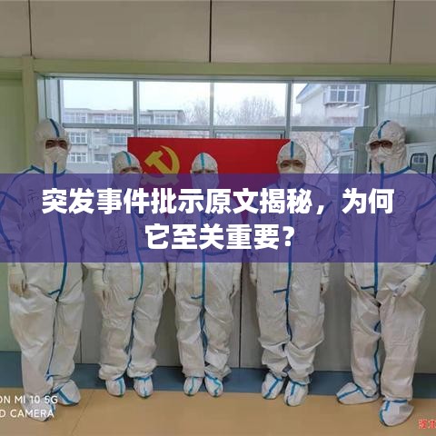 突發(fā)事件批示原文揭秘，為何它至關(guān)重要？