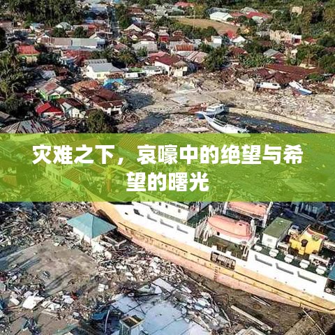 災(zāi)難之下，哀嚎中的絕望與希望的曙光