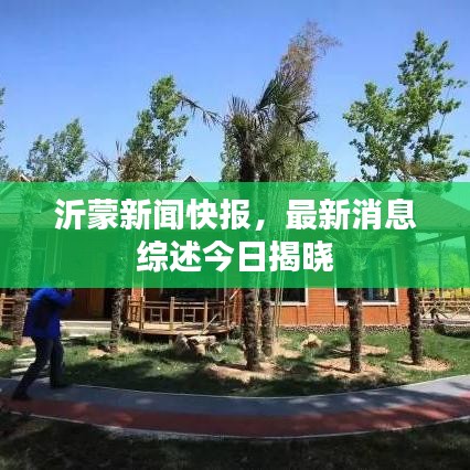 沂蒙新聞快報，最新消息綜述今日揭曉