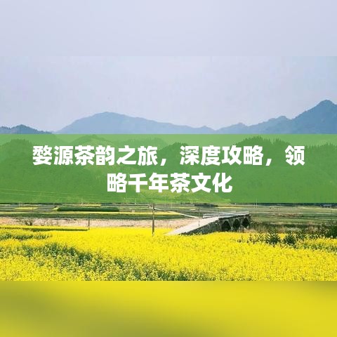 婺源茶韻之旅，深度攻略，領(lǐng)略千年茶文化