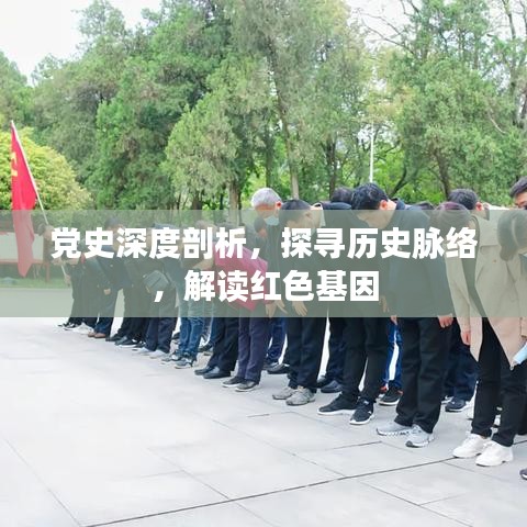 黨史深度剖析，探尋歷史脈絡，解讀紅色基因