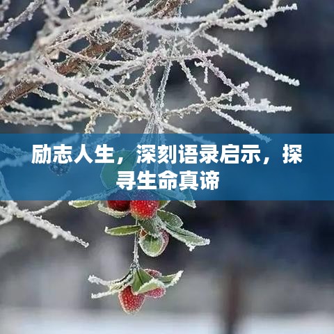 勵志人生，深刻語錄啟示，探尋生命真諦