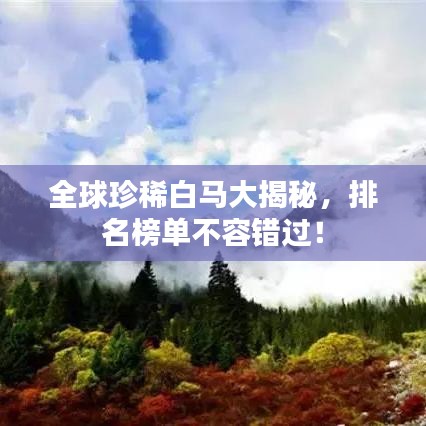 全球珍稀白馬大揭秘，排名榜單不容錯(cuò)過！