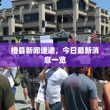 橙縣新聞速遞，今日最新消息一覽