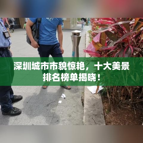 深圳城市市貌驚艷，十大美景排名榜單揭曉！