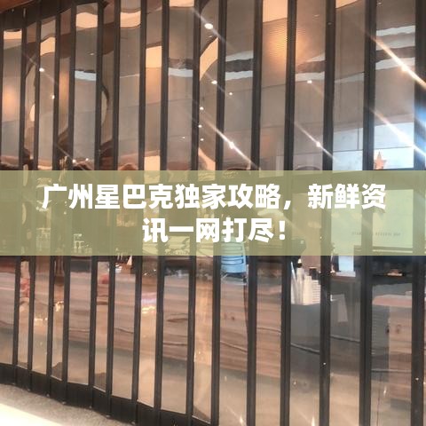 廣州星巴克獨(dú)家攻略，新鮮資訊一網(wǎng)打盡！