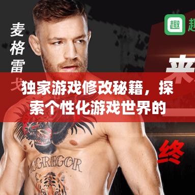 獨(dú)家游戲修改秘籍，探索個(gè)性化游戲世界的無限奧秘