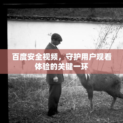 百度安全視頻，守護(hù)用戶觀看體驗(yàn)的關(guān)鍵一環(huán)