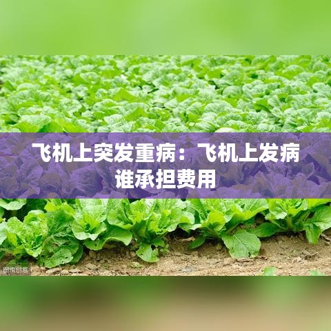飛機上突發(fā)重?。猴w機上發(fā)病 誰承擔費用 