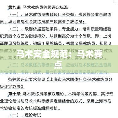 馬術(shù)安全規(guī)范：馬術(shù)要點(diǎn) 