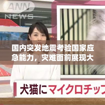 國內(nèi)突發(fā)地震考驗國家應(yīng)急能力，災(zāi)難面前展現(xiàn)大國擔(dān)當(dāng)