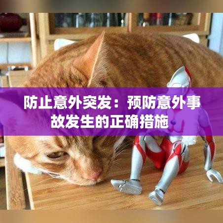 防止意外突發(fā)：預(yù)防意外事故發(fā)生的正確措施 