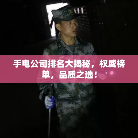 手電公司排名大揭秘，權(quán)威榜單，品質(zhì)之選！