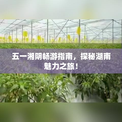 五一湘陰暢游指南，探秘湖南魅力之旅！