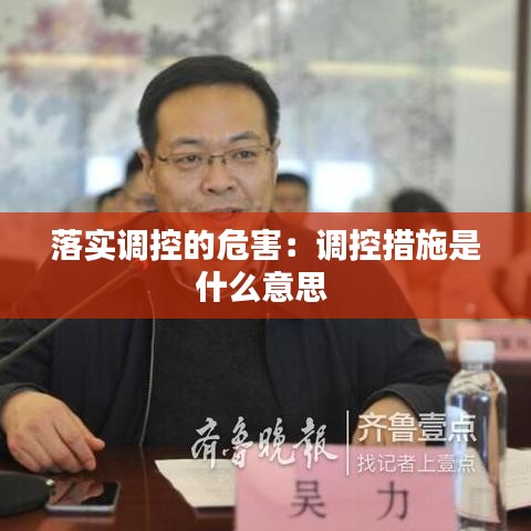 落實調(diào)控的危害：調(diào)控措施是什么意思 