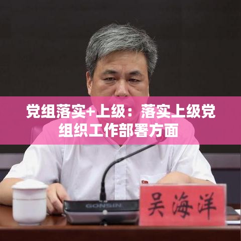 黨組落實+上級：落實上級黨組織工作部署方面 