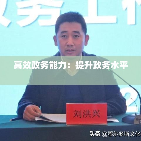高效政務(wù)能力：提升政務(wù)水平 