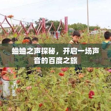 蛐蛐之聲探秘，開啟一場聲音的百度之旅