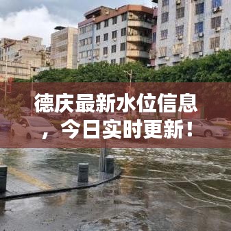 德慶最新水位信息，今日實時更新！