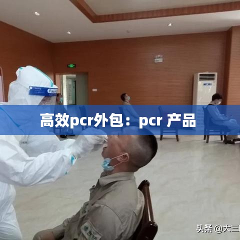 高效pcr外包：pcr 產(chǎn)品 