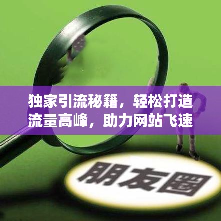 獨家引流秘籍，輕松打造流量高峰，助力網(wǎng)站飛速增長！