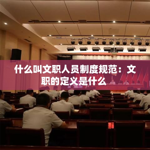 什么叫文職人員制度規(guī)范：文職的定義是什么 