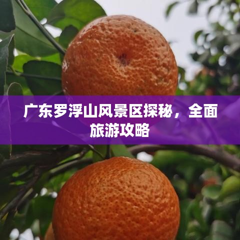 廣東羅浮山風(fēng)景區(qū)探秘，全面旅游攻略