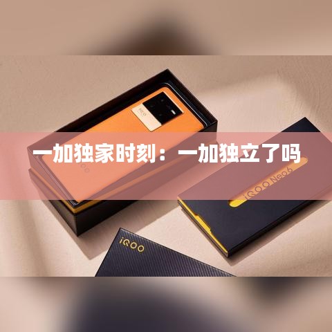 一加獨家時刻：一加獨立了嗎 