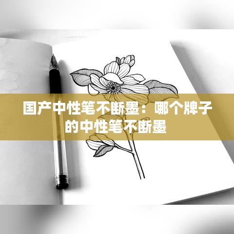 國產(chǎn)中性筆不斷墨：哪個牌子的中性筆不斷墨 