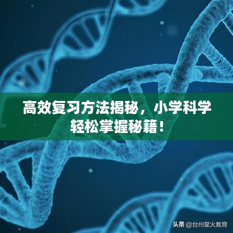 高效復(fù)習(xí)方法揭秘，小學(xué)科學(xué)輕松掌握秘籍！