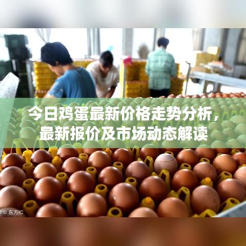 今日雞蛋最新價(jià)格走勢(shì)分析，最新報(bào)價(jià)及市場(chǎng)動(dòng)態(tài)解讀