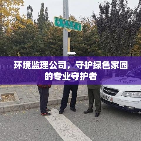 環(huán)境監(jiān)理公司，守護(hù)綠色家園的專業(yè)守護(hù)者