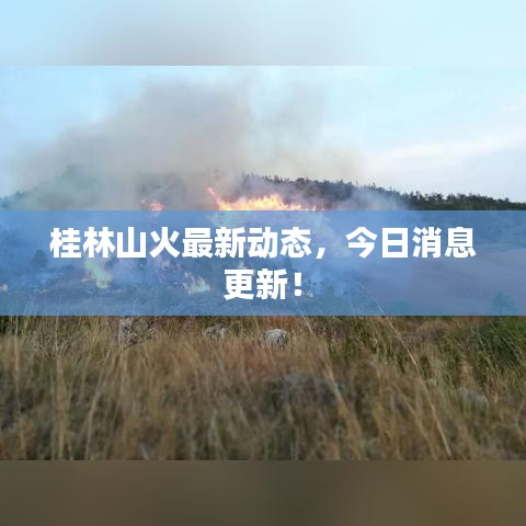 桂林山火最新動態(tài)，今日消息更新！