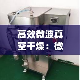 高效微波真空干燥：微波真空干燥機(jī)的原理 
