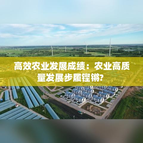 高效農(nóng)業(yè)發(fā)展成績(jī)：農(nóng)業(yè)高質(zhì)量發(fā)展步履鏗鏘? 