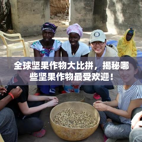全球堅果作物大比拼，揭秘哪些堅果作物最受歡迎！