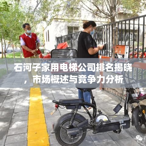 石河子家用電梯公司排名揭曉，市場概述與競爭力分析
