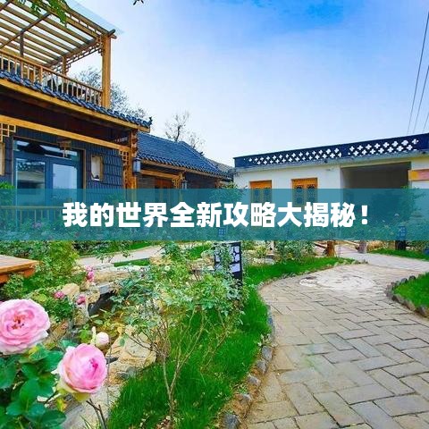 我的世界全新攻略大揭秘！