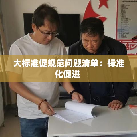 大標(biāo)準(zhǔn)促規(guī)范問題清單：標(biāo)準(zhǔn)化促進(jìn) 