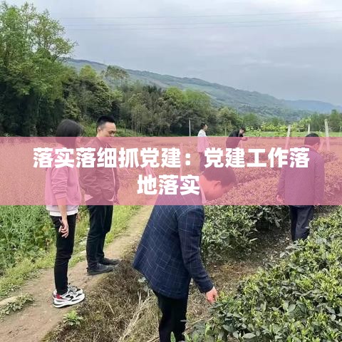 落實落細(xì)抓黨建：黨建工作落地落實 