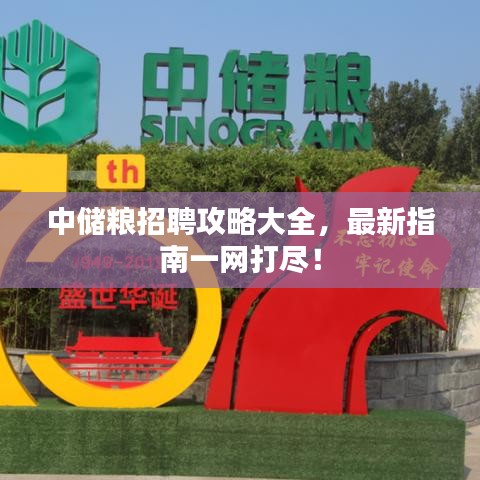 中儲糧招聘攻略大全，最新指南一網打盡！