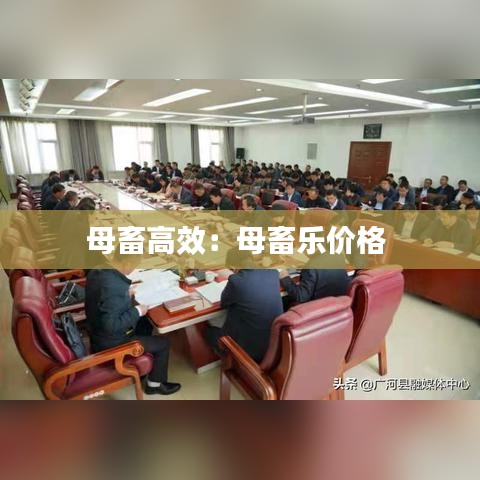 母畜高效：母畜樂價格 