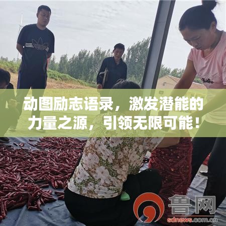 動圖勵志語錄，激發(fā)潛能的力量之源，引領無限可能！