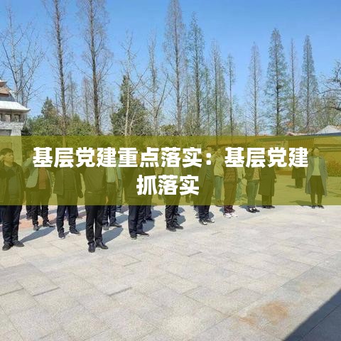 基層黨建重點落實：基層黨建抓落實 