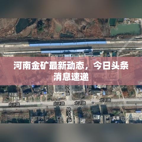 河南金礦最新動(dòng)態(tài)，今日頭條消息速遞