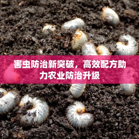 害蟲防治新突破，高效配方助力農(nóng)業(yè)防治升級(jí)