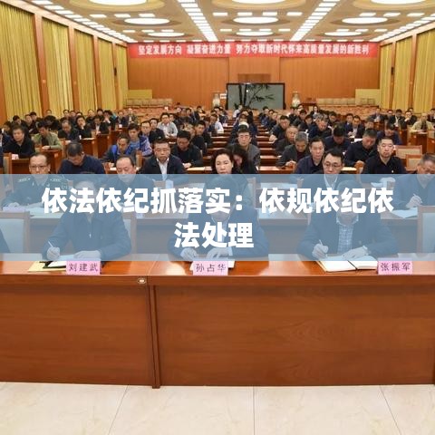 依法依紀(jì)抓落實(shí)：依規(guī)依紀(jì)依法處理 