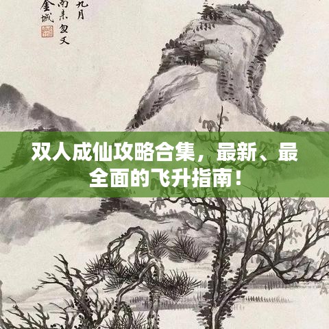 雙人成仙攻略合集，最新、最全面的飛升指南！