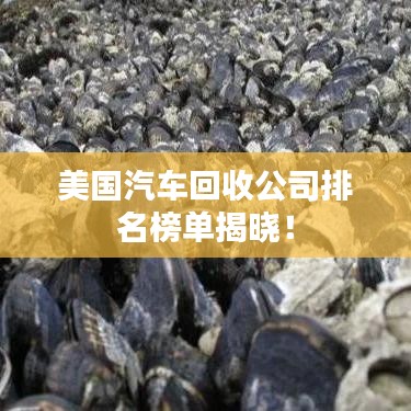 美國汽車回收公司排名榜單揭曉！